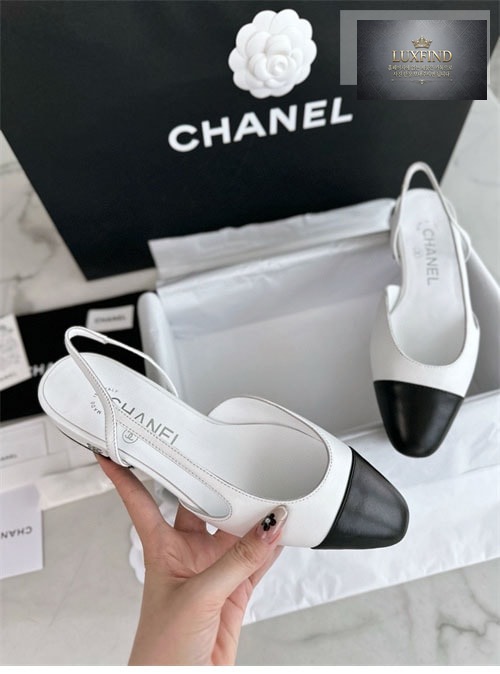 image_6.jpg