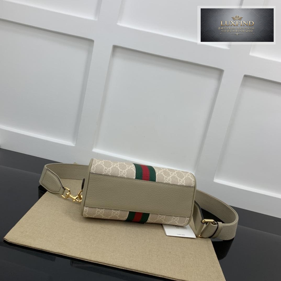 Gucci Ophidia Top Handdle