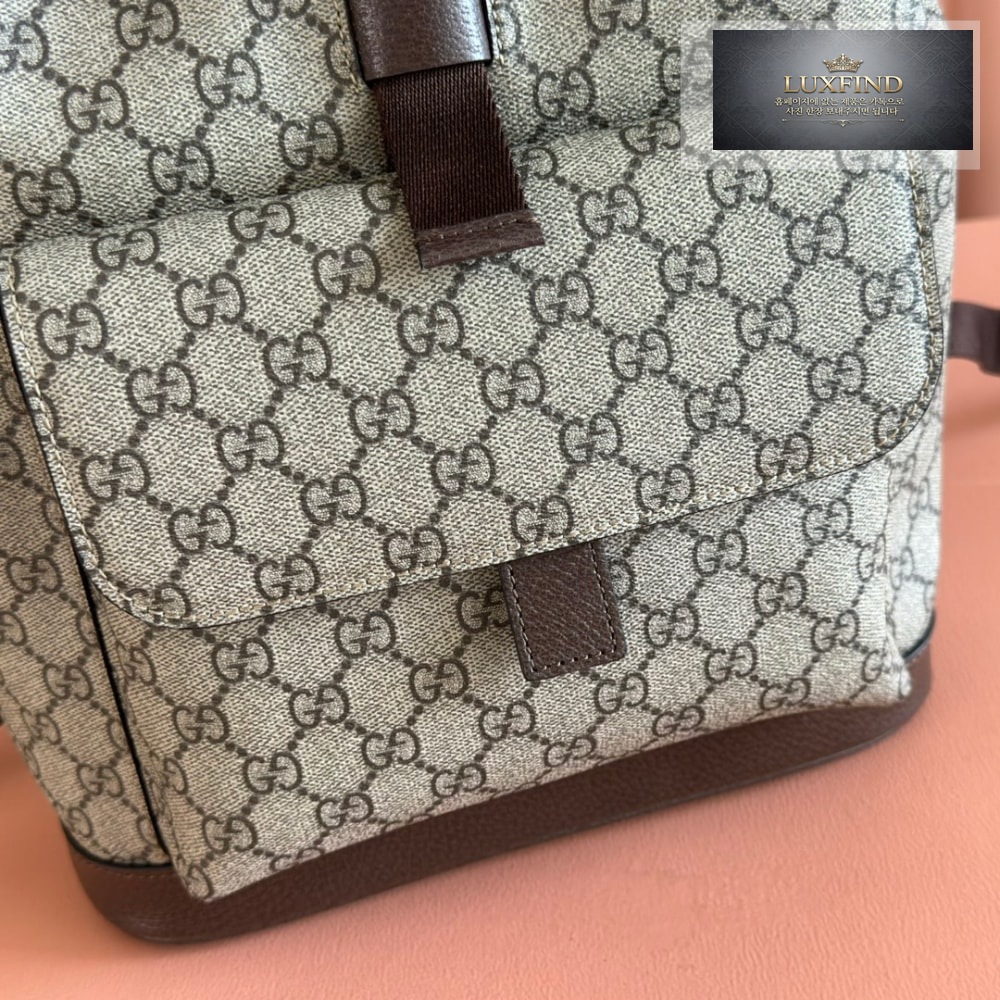 Gucci Ophidia Backpack