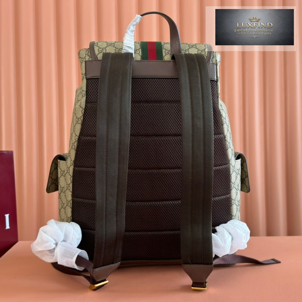 Gucci Ophidia Backpack