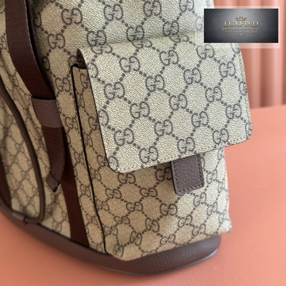 Gucci Ophidia Backpack