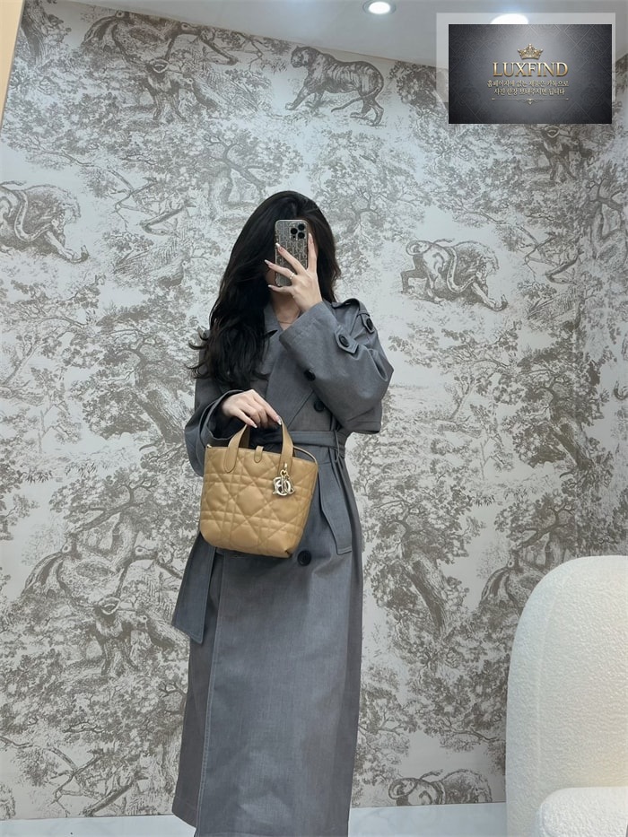 디올 뚜주흐 스몰 버티컬 토트백 라이트 골드 매크로까나쥬