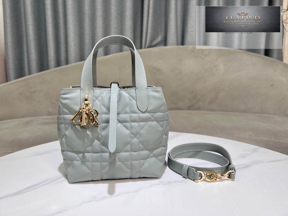 Dior Toujours Vertical Small
