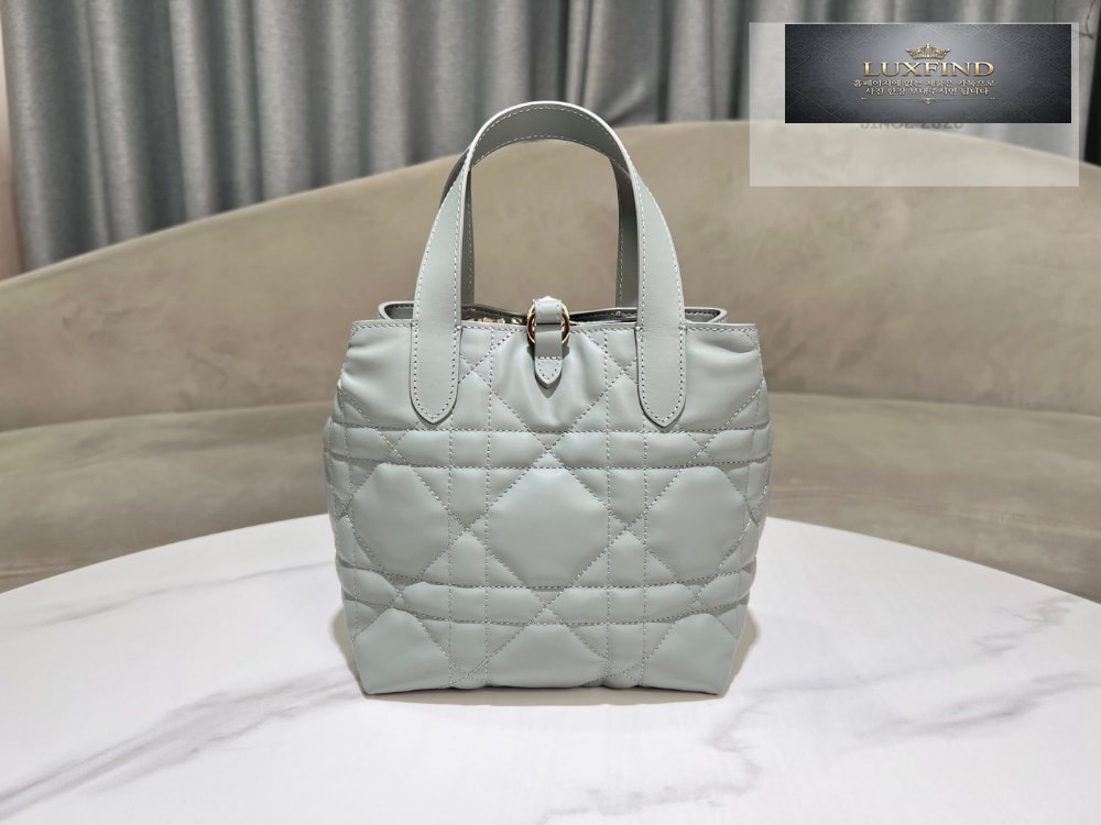 Dior Toujours Vertical Small