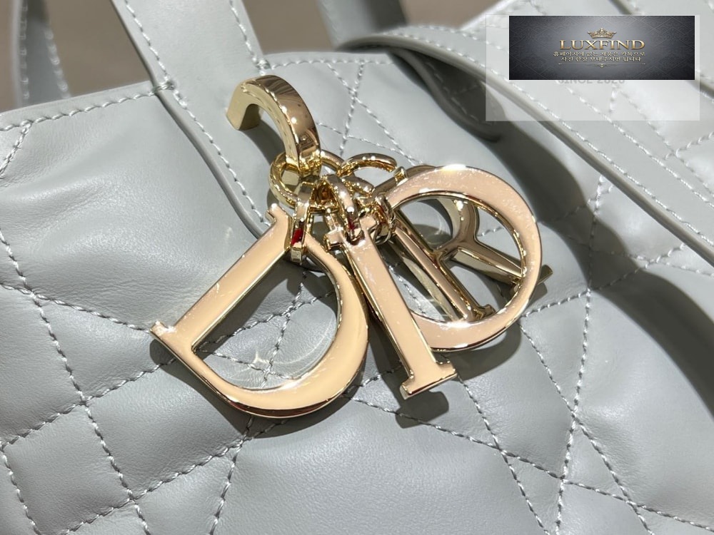 Dior Toujours Vertical Small