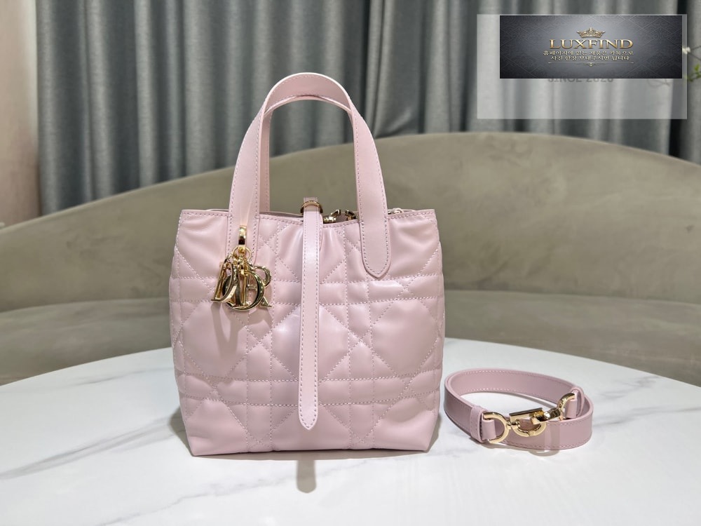 Dior Toujours Vertical Small