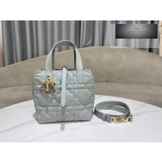 Dior Toujours Vertical Small