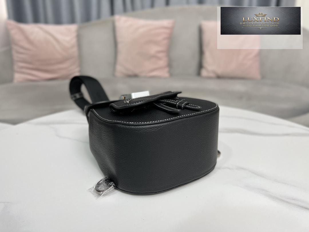 Dior Gallop Mini