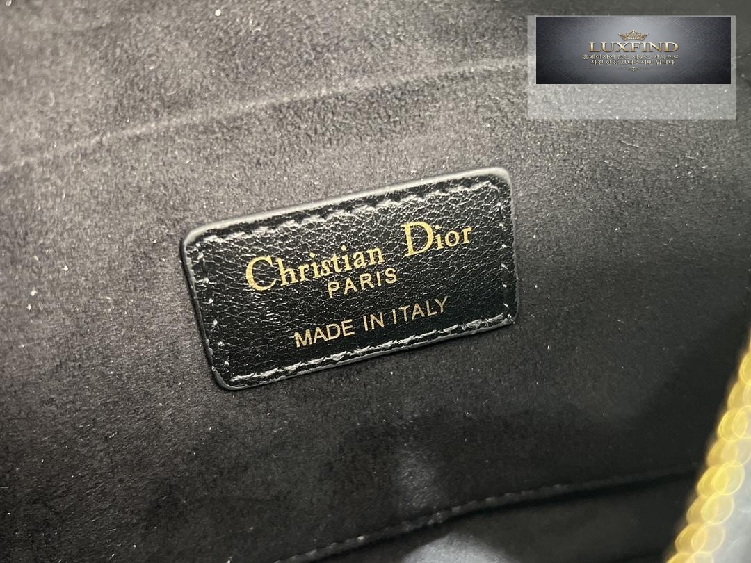 Dior Caro Top Handle Camera