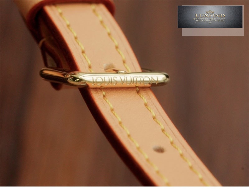 루이비통 나노 깐느 모노그램 M82952
