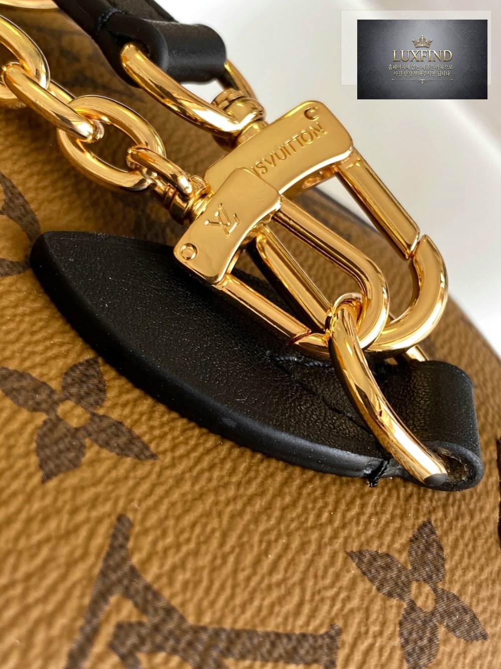 Louis Vuitton Speedy Trunk 20