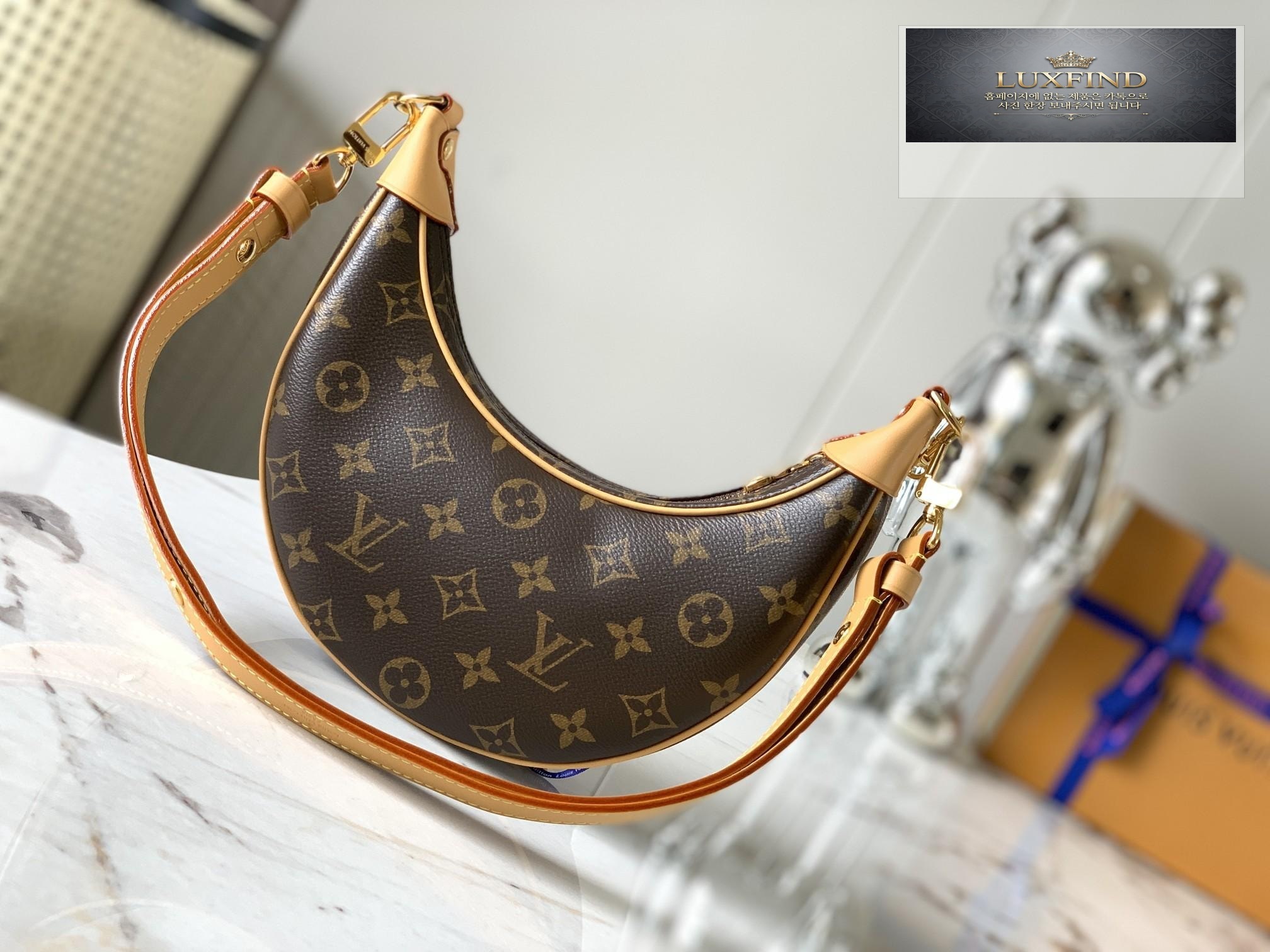 Louis Vuitton Loop Hobo Monogram