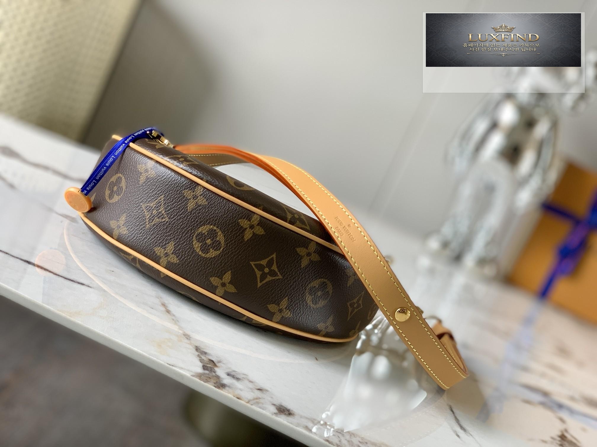Louis Vuitton Loop Hobo Monogram