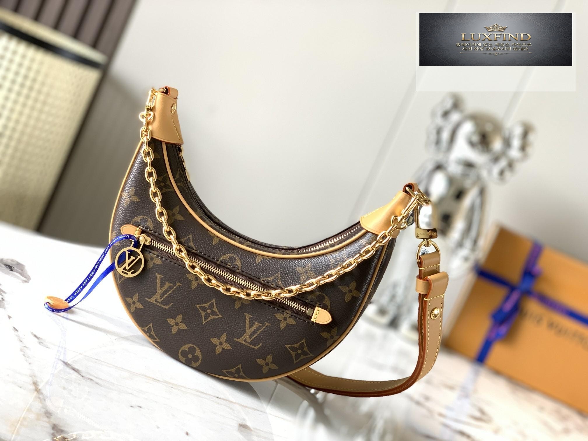Louis Vuitton Loop Hobo Monogram