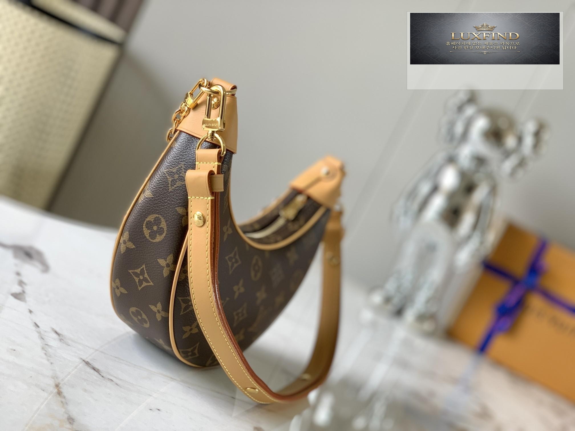 Louis Vuitton Loop Hobo Monogram