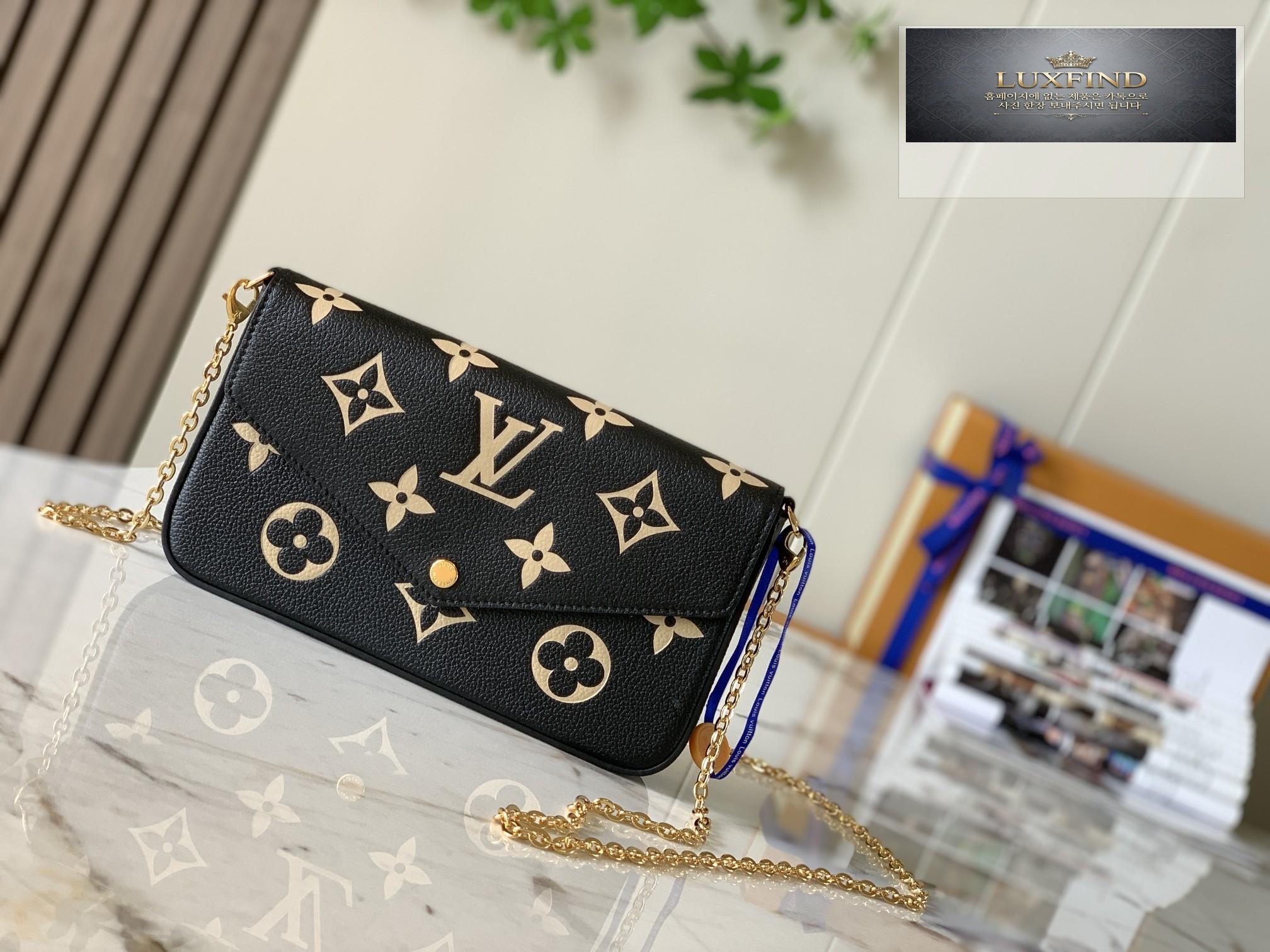 Louis Vuitton Felicie Pochette
