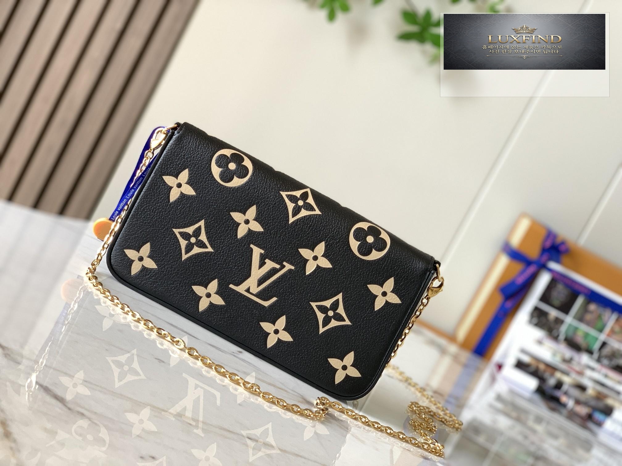 Louis Vuitton Felicie Pochette