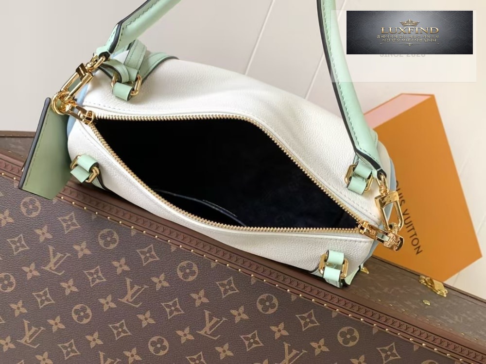 Louis Vuitton Express PM