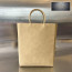 Bottega Veneta Brown Bag