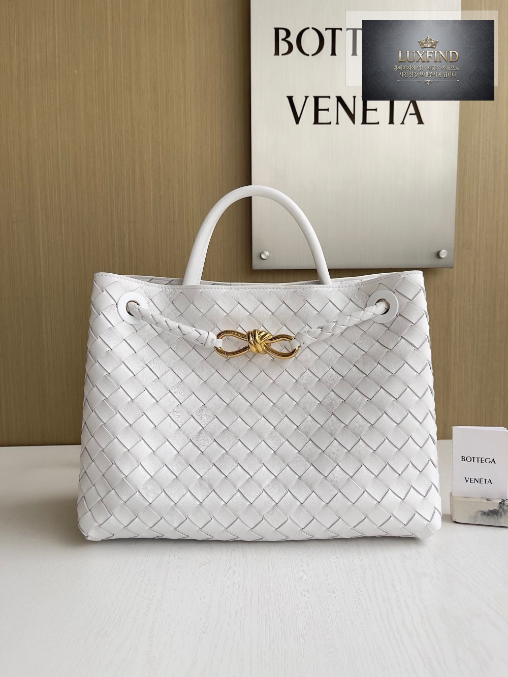 Bottega Veneta Andiamo Medium