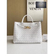 Bottega Veneta Andiamo Medium