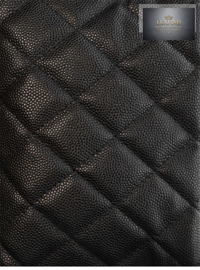 샤넬 25C HAAS 호보 백