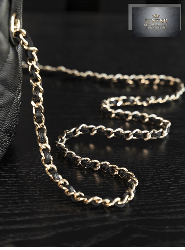 샤넬 25C HAAS 호보 백