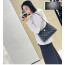 샤넬 24a 호보백 라지