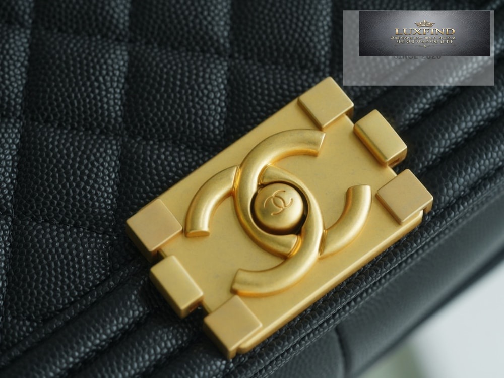 Chanel Le Boy Handbag