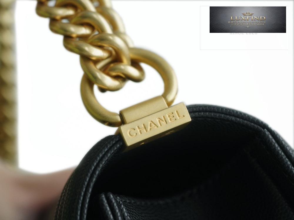 Chanel Le Boy Handbag