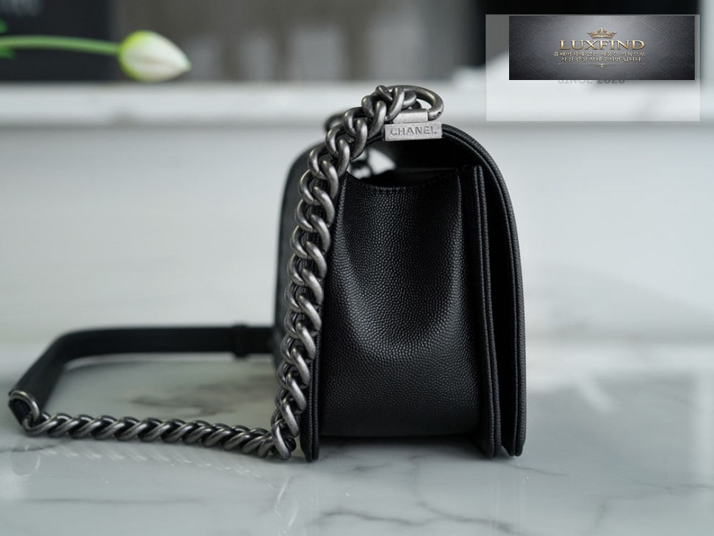 Chanel Le Boy Handbag