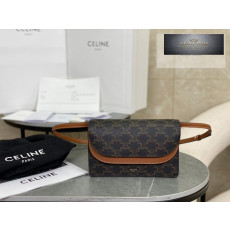 Celine Wallet on strap in Triomphe Canvas