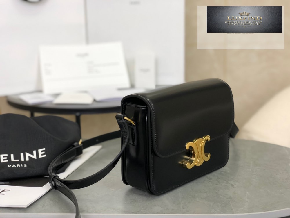 Celine Teen Triomphe Bag Shiny Calfskin