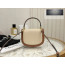 Celine Mini Clea Vesace Canvas & Calfskin