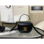 Celine Mini Clea Vesace Calfskin