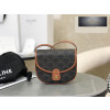Celine Mini Besace Triomphe Canvas and Calfskin