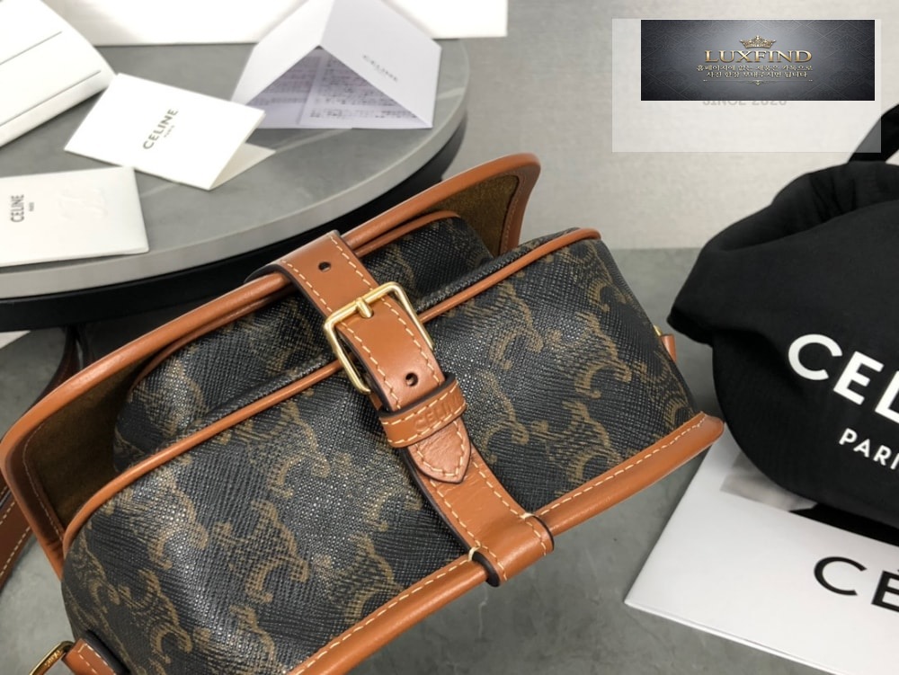Celine Folco bag in Triomphe Canvas and Calfskin