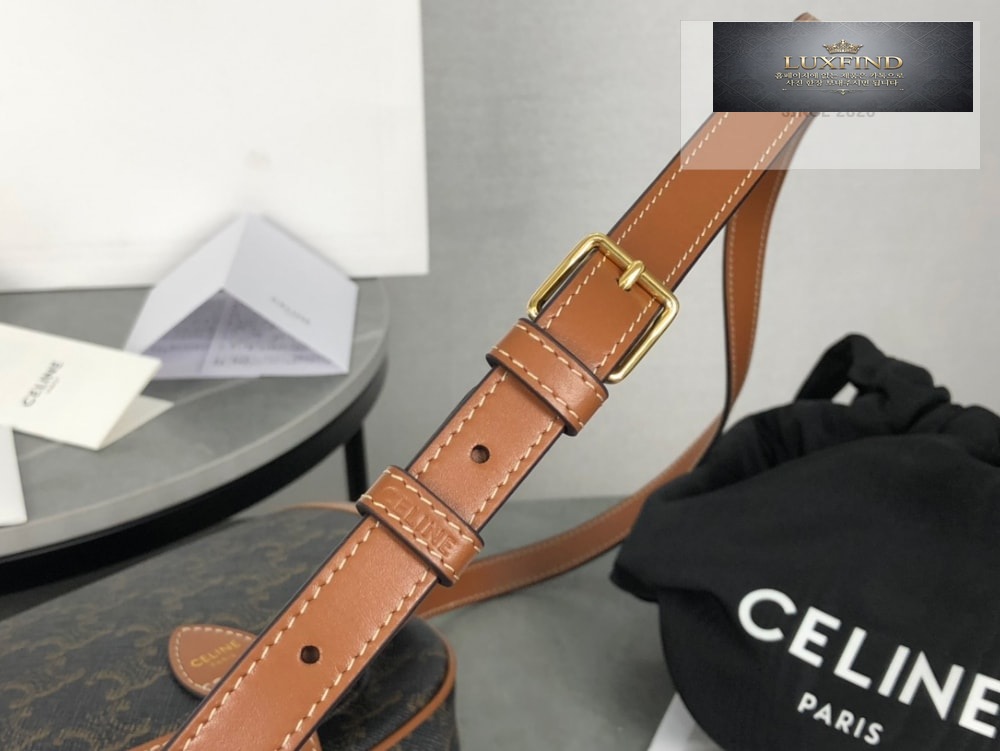 Celine Folco bag in Triomphe Canvas and Calfskin