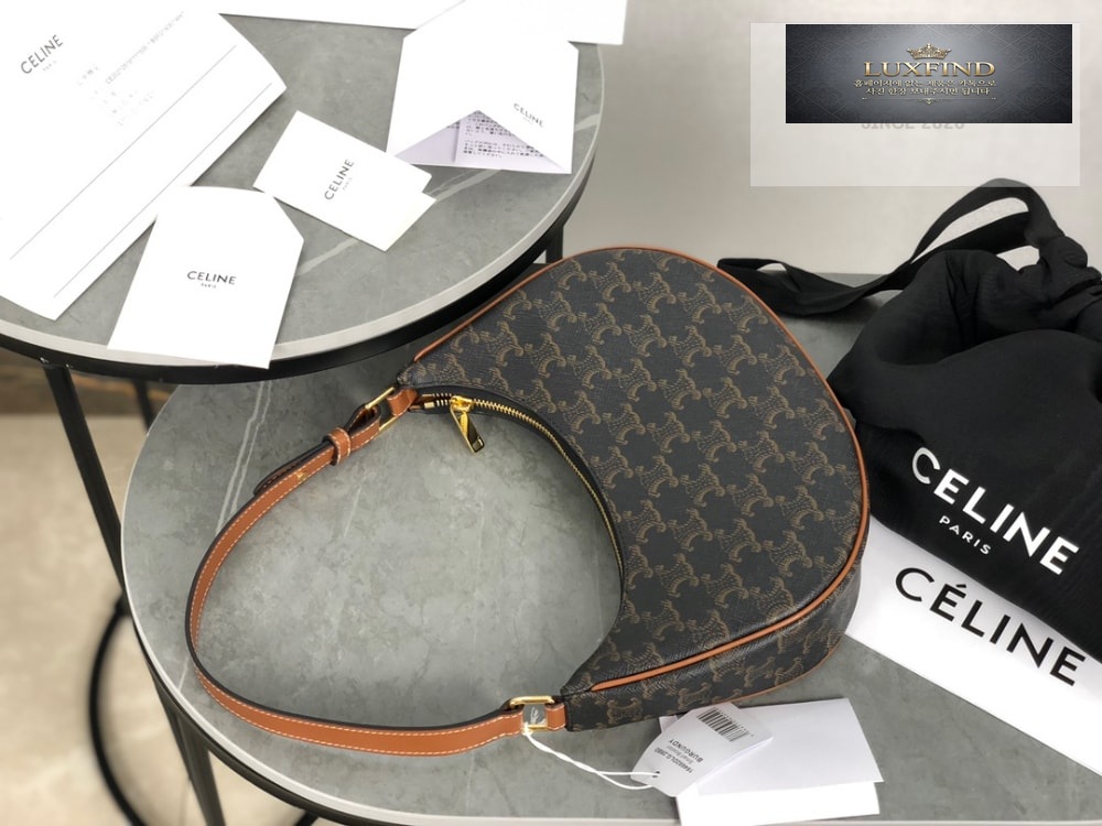 Celine Ava Bag in Triomphe Canvas and Calfskin