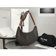 Celine Ava Bag in Triomphe Canvas and Calfskin