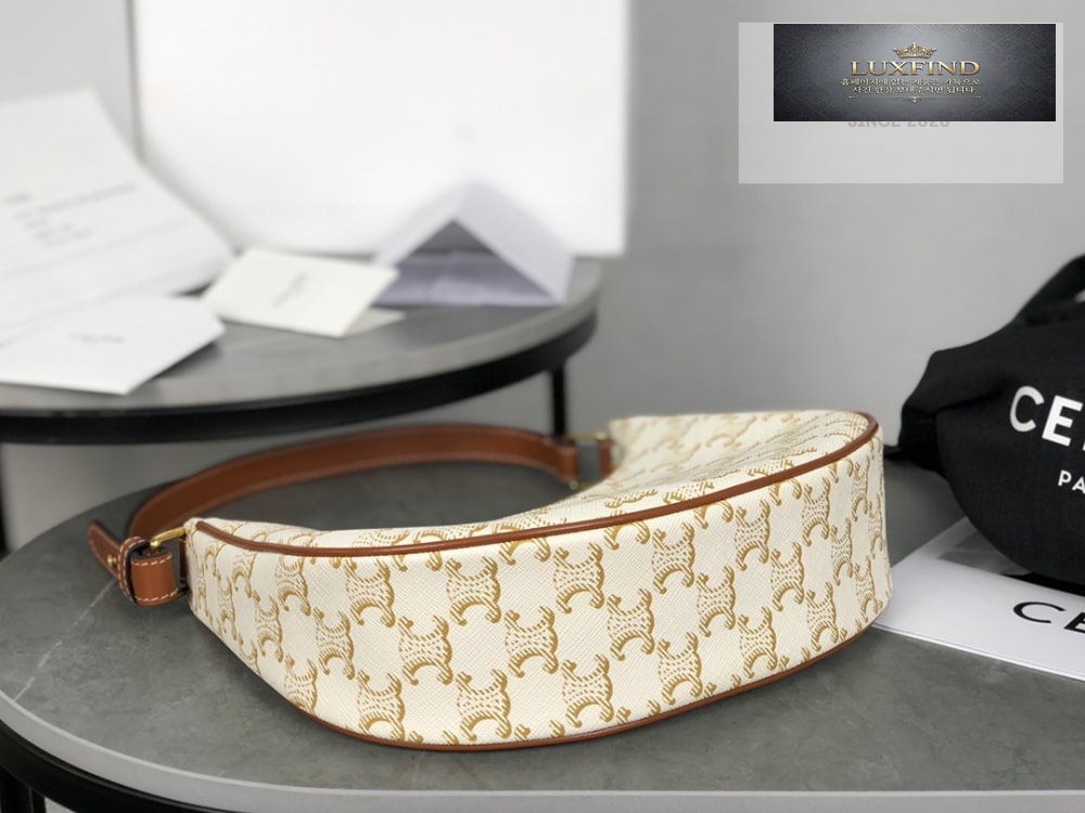 Celine Ava Bag in Triomphe Canvas and Calfskin
