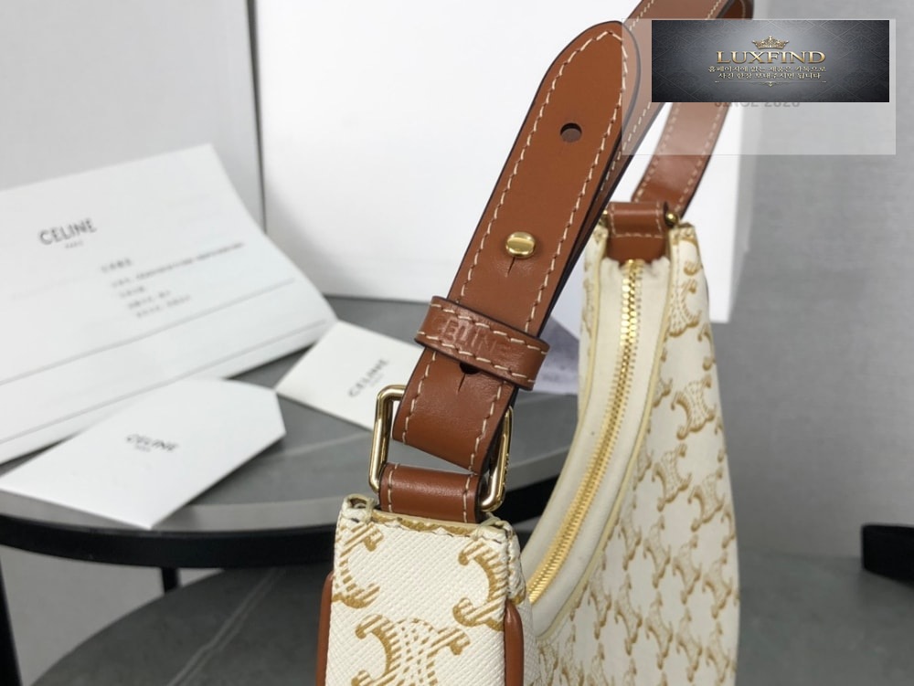 Celine Ava Bag in Triomphe Canvas and Calfskin
