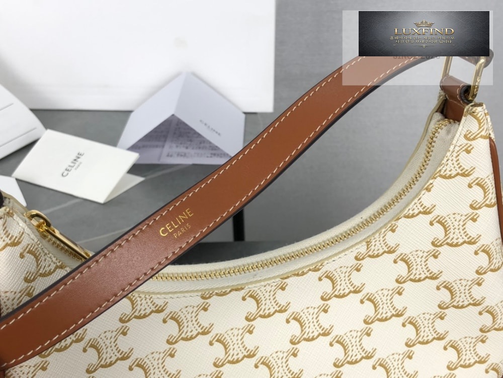 Celine Ava Bag in Triomphe Canvas and Calfskin